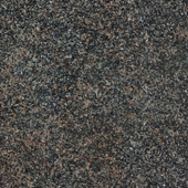 <a href='thumbs/italian/Spider brown.jpg'>Spider brown</a>